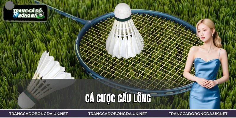 Cá Cược Cầu Lông – Chiến Thuật Chọn Kèo Ít Biến Động